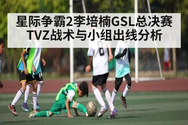 星际争霸2李培楠GSL总决赛TVZ战术与小组出线分析