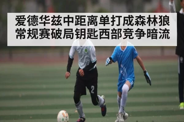 爱德华兹中距离单打成森林狼常规赛破局钥匙西部竞争暗流